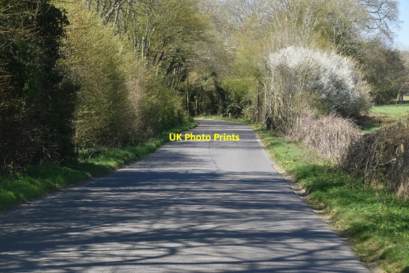 Photo 6"x4" Minor road Sheffield Green\/TQ4124 c2021