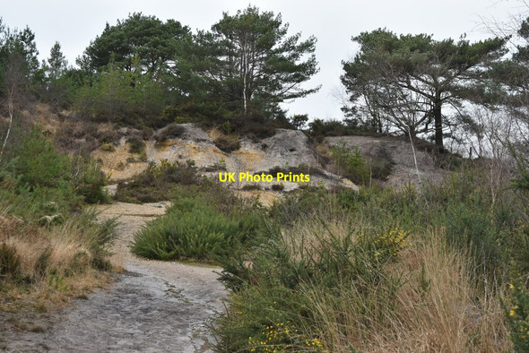 Photo 6"x4" Former gravel working, St. Catherine\u00e2\u0080\u0099s Hill St Catherine's Hill\/SZ1495 c2022