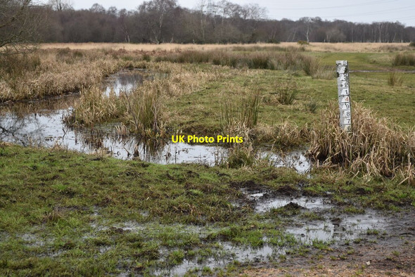 Photo 6"x4" Depth marker and drainage ditch on Coward\u00e2\u0080\u0099s Marsh Christchurch\/SZ1592 c2022