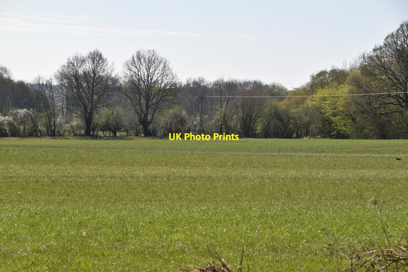 Photo 6"x4" Pasture, Ketche's Lane Sheffield Green\/TQ4124 c2021