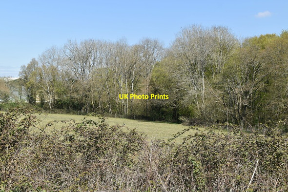 Photo 6"x4" Circle Wood Sheffield Green\/TQ4124 c2021