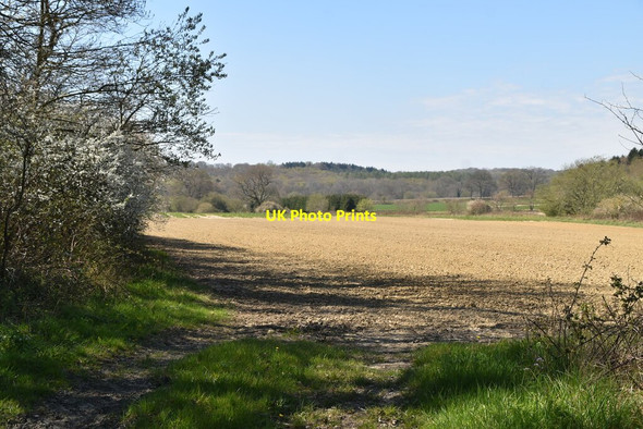 Photo 6"x4" Ploughed field Furner's Green c2021