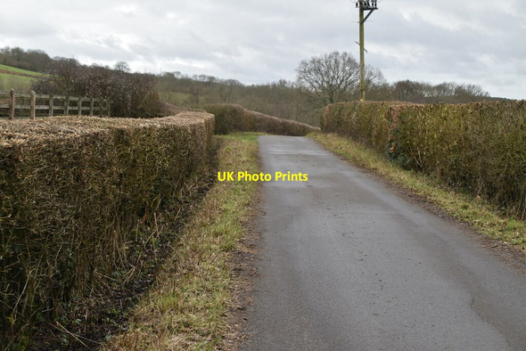 Photo 6"x4" Driveway south of Hamsell Manor Danegate c2021
