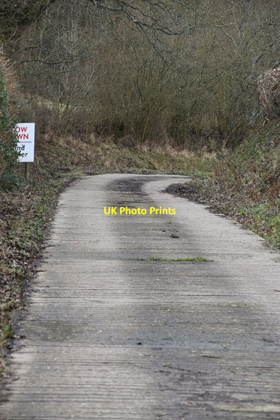 Photo 6"x4" Driveway south of Hamsell Manor Danegate c2021 P1