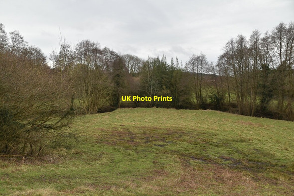 Photo 6"x4" Jarvis Brook Heathfield\/TQ5630 c2021