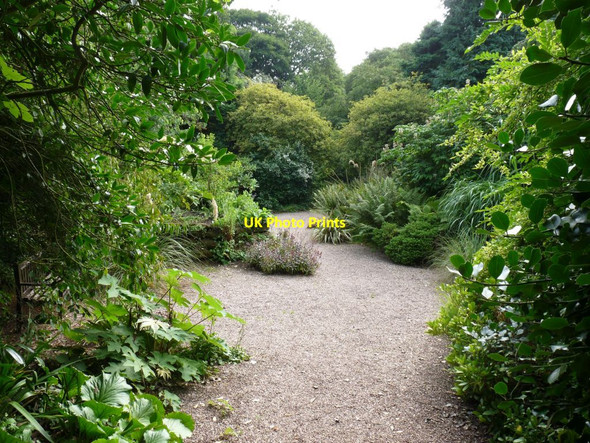 Photo 6"x4" Path through the shrubs in the Quarry Aston\/SJ7541 c2013