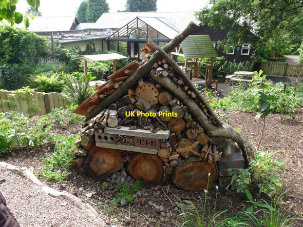Photo 6"x4" Insect House Aston\/SJ7541 c2013