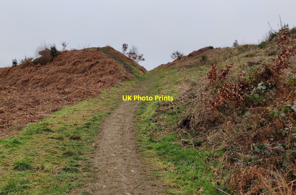 Photo 6"x4" East entrance to Bury Ditches Iron Age hill fort Acton\/SO3184 c2022