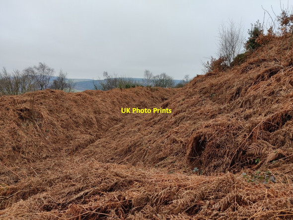 Photo 6"x4" Earthworks and ditch Acton\/SO3184 c2022