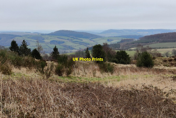 Photo 6"x4" View south from the Bury Ditches Iron Age hill fort Acton\/SO3184 c2022