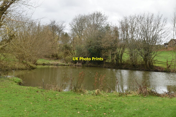 Photo 6"x4" Pond, Hamsell Farm Eridge Green c2021