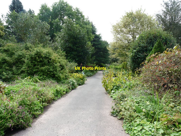 Photo 6"x4" Plant lined path through the quarry Aston\/SJ7541 c2013
