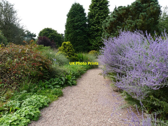 Photo 6"x4" Path through the shrubs in the Quarry Aston\/SJ7541 c2013