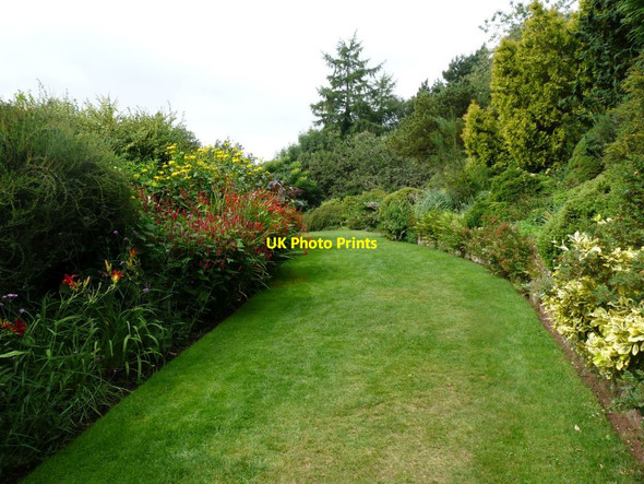 Photo 6"x4" Grass path between flower borders Blackbrook\/SJ7639 c2013