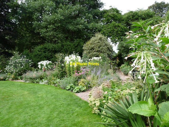 Photo 6"x4" Path into the Camellia walk Blackbrook\/SJ7639 c2013