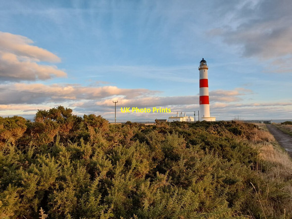 Photo 6"x4" Tarbatness Lighthouse Hilton\/NH9285 c2022