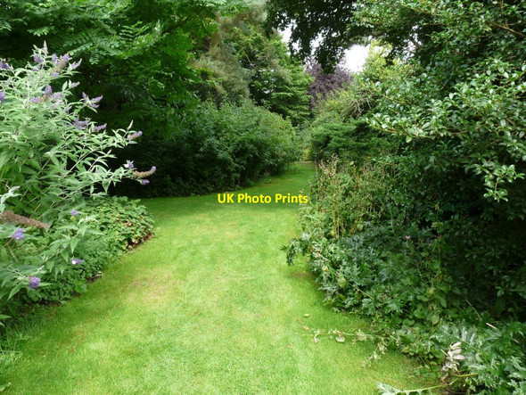 Photo 6"x4" Grass path back up towards the Cafe area Blackbrook\/SJ7639 c2013