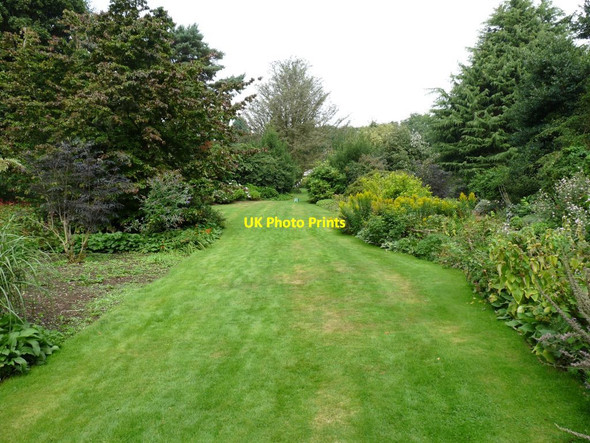 Photo 6"x4" Grass path back up towards the Cafe area Blackbrook\/SJ7639 c2013
