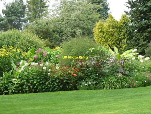 Photo 6"x4" One of the herbaceous beds at the top of the garden Blackbrook\/SJ7639 c2013
