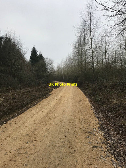 Photo 6"x4" Regraded forest road Sudborough c2022