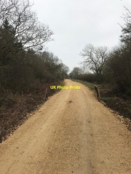 Photo 6"x4" Regraded forest road Lowick\/SP9780 c2022 P1