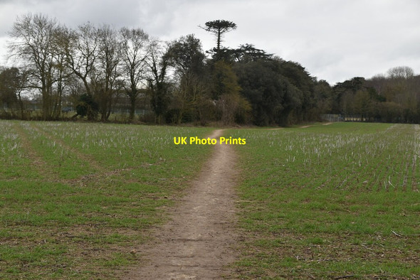 Photo 6"x4" Footpath across field Barming Heath c2021