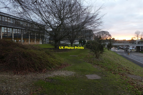 Photo 6"x4" Grassy area near Fairhurst Library Heslington c2022