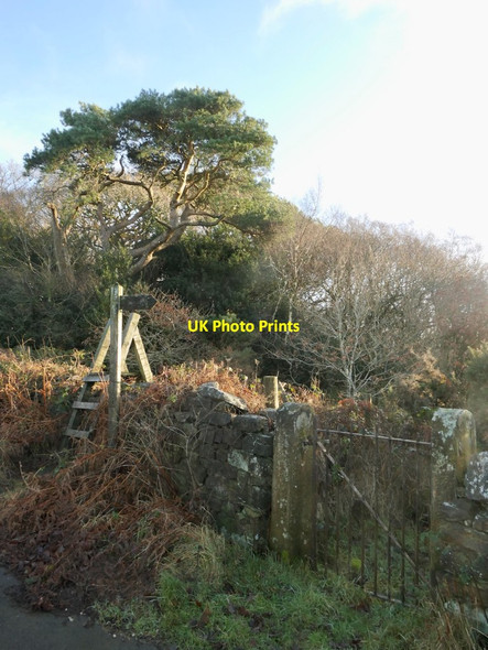 Photo 6"x4" Stile by Crag Wood Crossgill\/SD5562 c2022