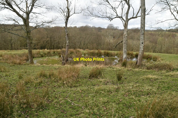 Photo 6"x4" Pond by footpath Hollingrove c2021