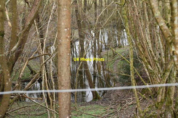 Photo 6"x4" Embayment in Darwell Reservoir Hollingrove c2021