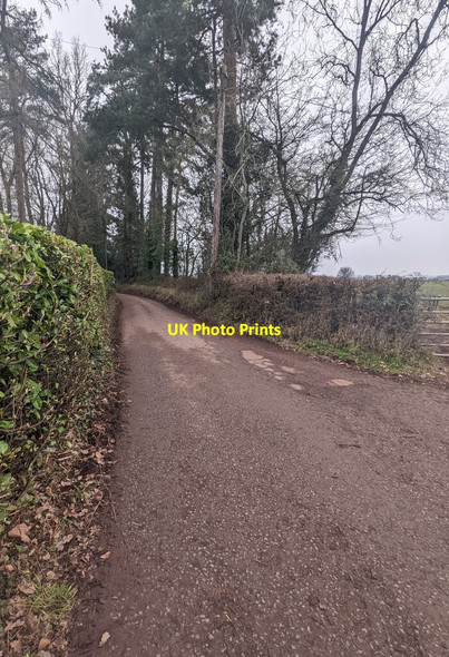 Photo 6"x4" North along a minor road, Penrhos Penrhos\/SO4111 c2022