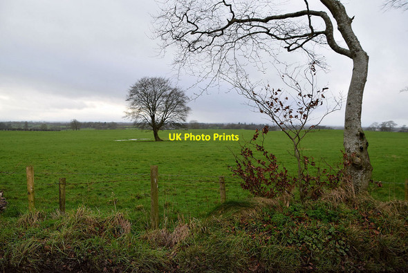 Photo 6"x4" Bracky Townland Milltown\/H5775 c2022