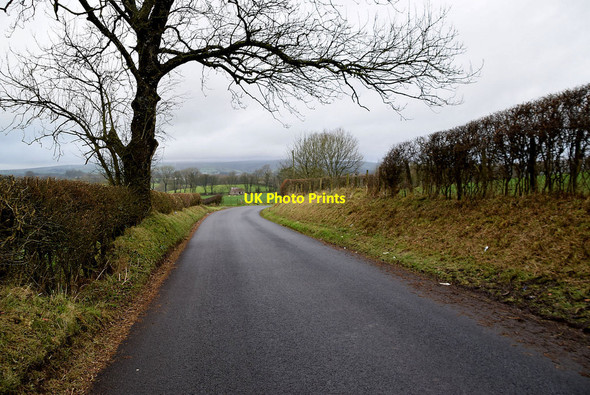 Photo 6"x4" Tree and bend along Bracky Road Milltown\/H5775 c2022