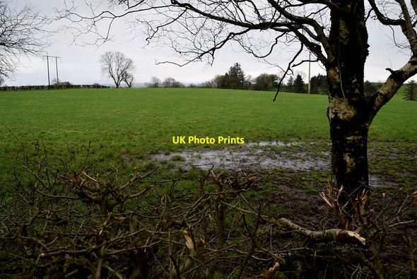 Photo 6"x4" A muddy field, Bracky Milltown\/H5775 c2022