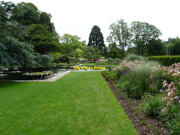 Photo 6"x4" View across the Lily pond Tal-y-cafn c2012