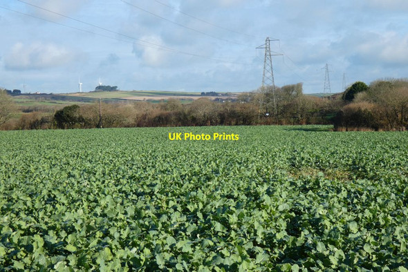 Photo 6"x4" Farmland, St Allen St Allen c2022
