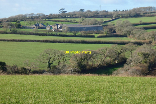 Photo 6"x4" Farmland and Boswellick, St Allen Marazanvose c2022