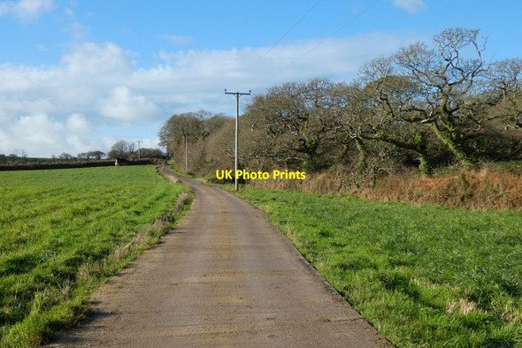 Photo 6"x4" Farmland and farm-road, St Allen St Allen c2022