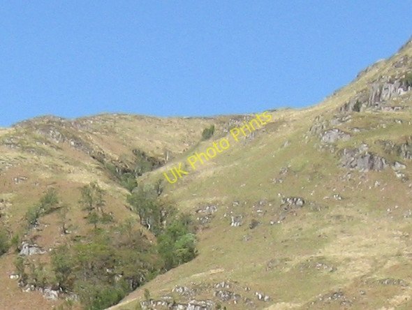 Photo 6"x4" Branching burn below Cruach nan Caorach Scamodale c2009