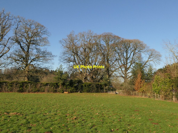 Photo 6"x4" The Park, Ashford Court Ashford Carbonell c2022