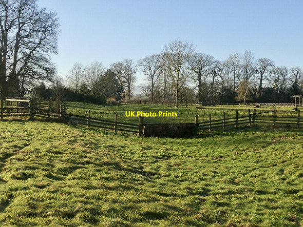 Photo 6"x4" Gully, Ashford Court Park Ashford Carbonell c2022