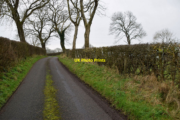 Photo 6"x4" Roeglen Road Milltown\/H5775 c2022