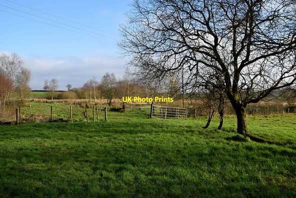 Photo 6"x4" Deroran Townland Beragh c2022