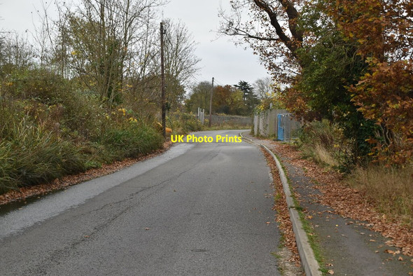 Photo 6"x4" Luxborough Lane Chigwell c2021