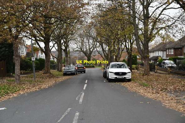 Photo 6"x4" Chigwell Park Chigwell c2021