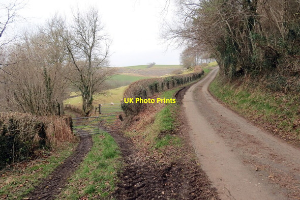 Photo 6"x4" Heol Fach ger Rhyblid \/  Minor road near Rhyblid Myddfai c2022