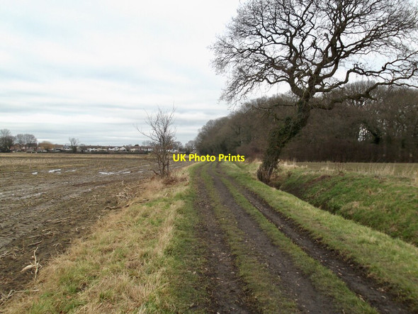 Photo 6"x4" Carr Lane, Barlow Barlow\/SE6428 c2022