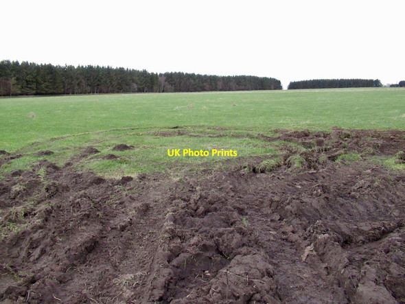 Photo 6"x4" Field near  Blackcastle Blackcastle\/NT4159 c2022
