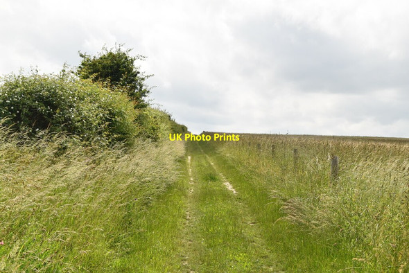 Photo 6"x4" Track, Limlow Hill Litlington\/TL3142 c2021