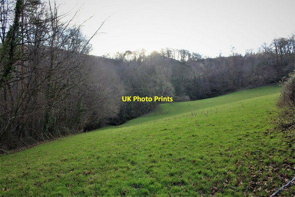 Photo 6"x4" Enclosed field above the village of Dolwyd Dolwyd c2022